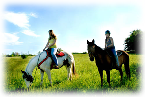 Trail Riding in the Finger Lakes National Forest